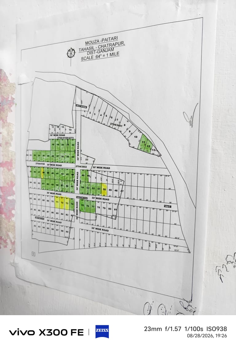 Image 6