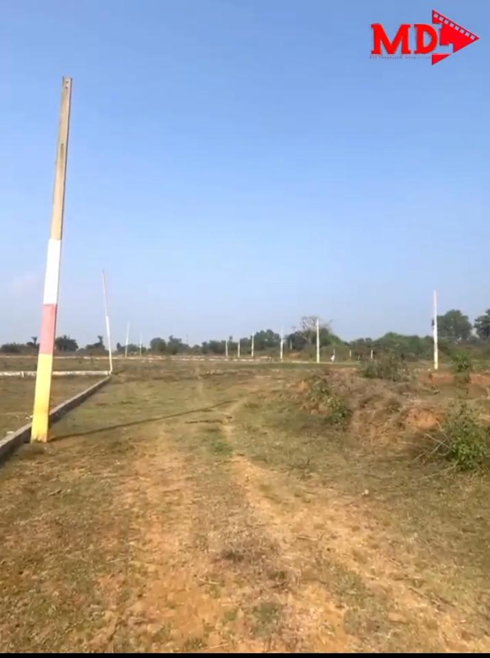 KALIABALI