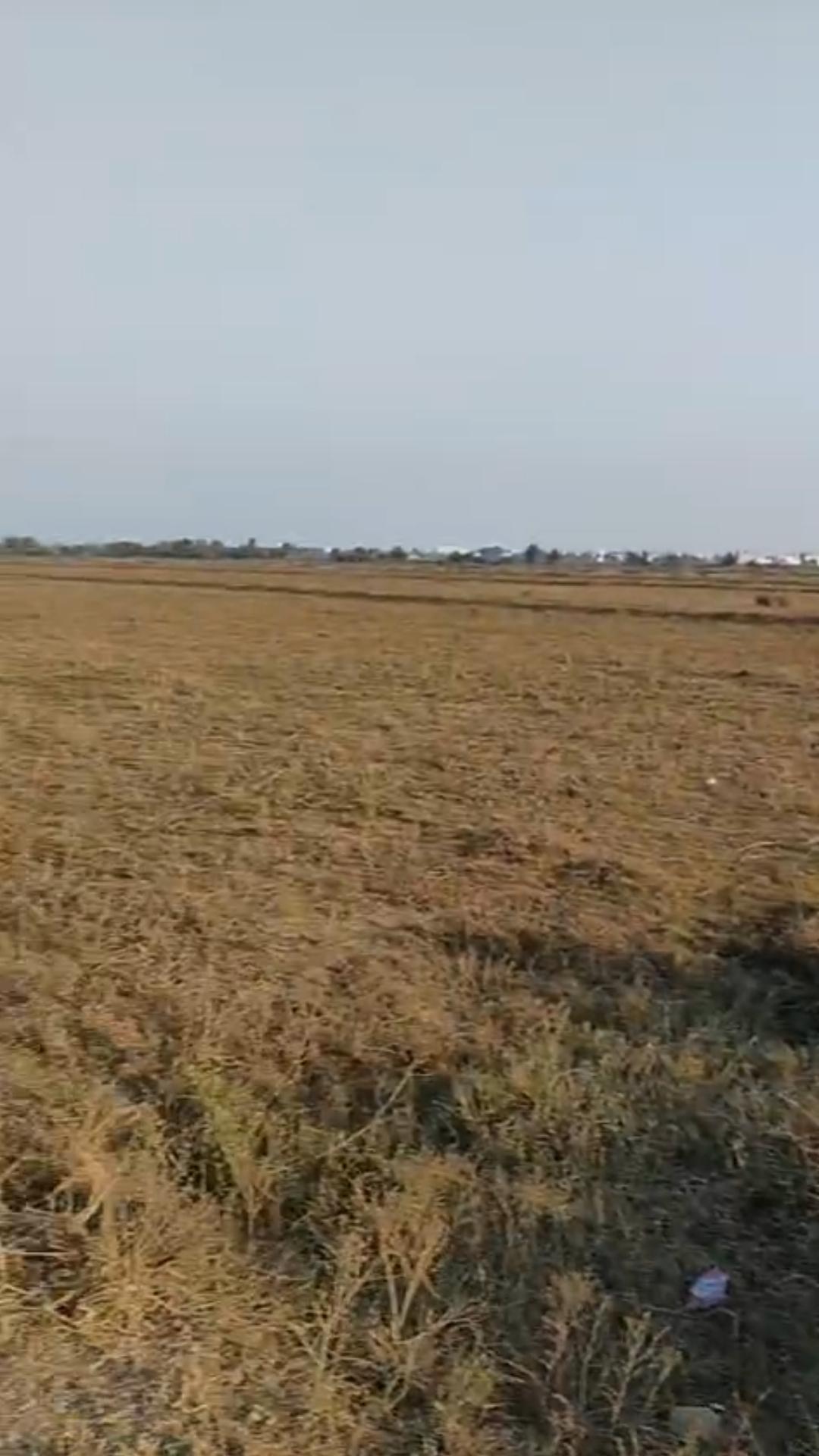 BHABINIPUR